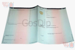 диплом о высшем образовании 2014-2026 годов приложение